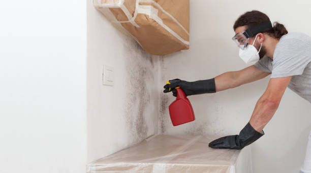 Professional Basement Mold Removal technician working in Manchester, VA