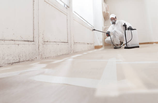 24/7 Emergency Basement Mold Removal experts in Manchester, VA