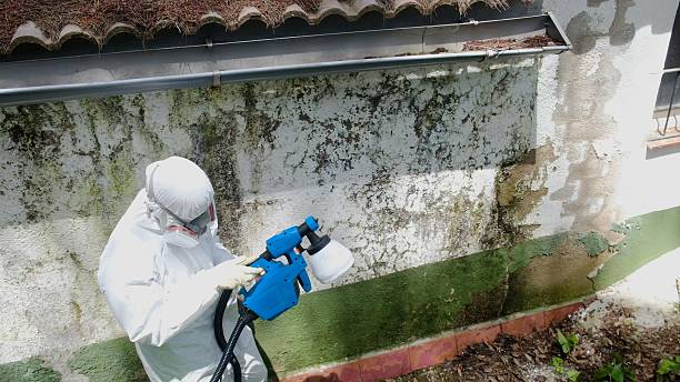 Top rated local Basement Mold Removal specialists in Manchester, VA